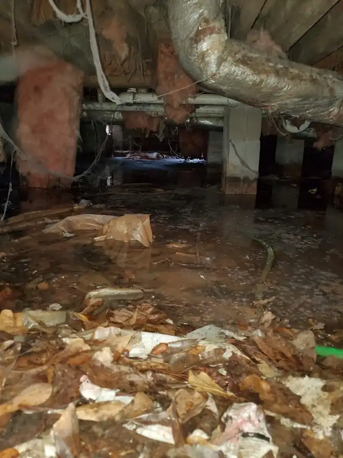 Crawl space flood assessment for Leak Detection & Repair in Aztec